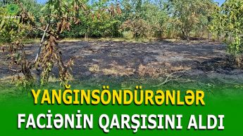 QUBADA BAĞ SAHƏSİNDƏ GÜCLÜ YANĞIN BAŞ VERDİ