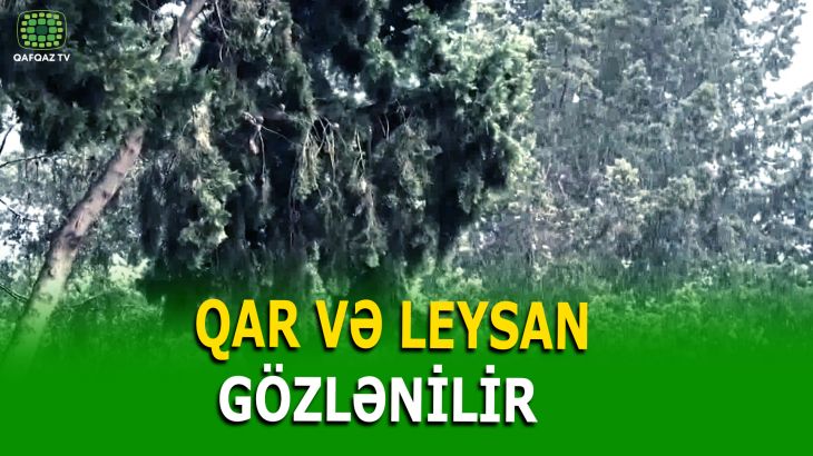 SABAHDAN HAVA DƏYİŞİR: QAR, DOLU, LEYSAN...