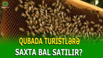 QUBA BALI: ƏSLİNİ SAXTASINDAN NECƏ AYIRAQ?