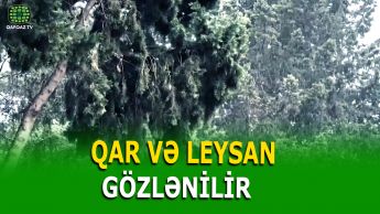 SABAHDAN HAVA DƏYİŞİR: QAR, DOLU, LEYSAN...
