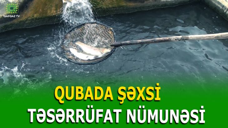 QUBANIN ZƏRQOVA KƏNDİNDƏ BALIQÇILIĞA YENİ NƏFƏS