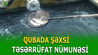 QUBANIN ZƏRQOVA KƏNDİNDƏ BALIQÇILIĞA YENİ NƏFƏS