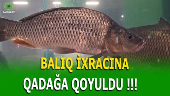 RUSİYA BAZARI ERMƏNİSTANIN ÜZÜNƏ BAĞLANDI